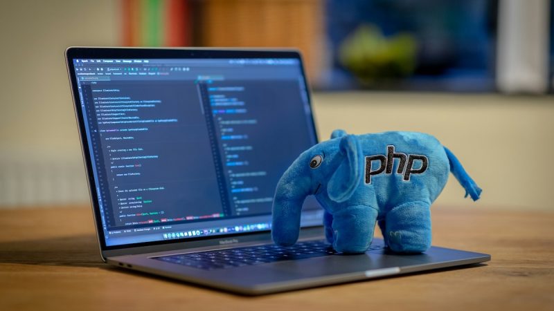 Average Salary of Freelance PHP Developer in 2025