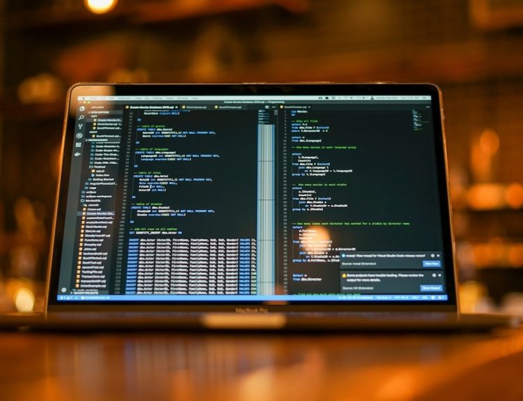 Programming Languages Should Freelance Developers